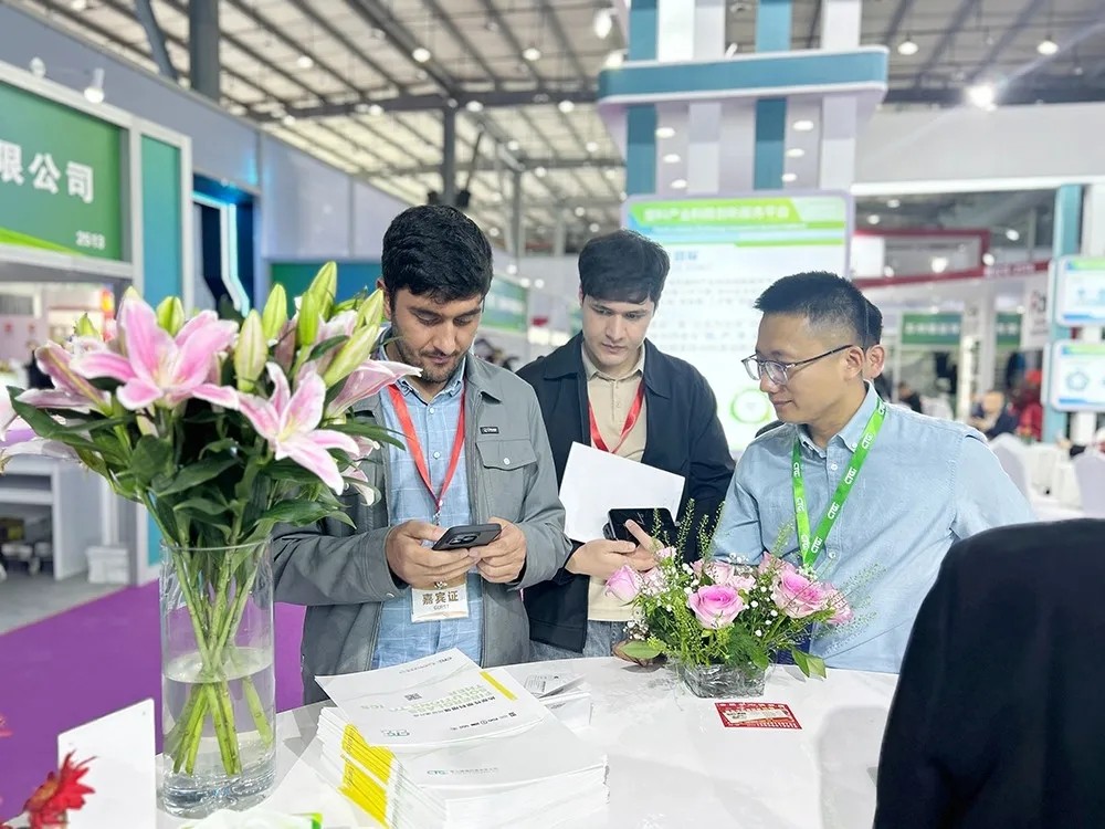 4.webp.jpg 4.webp.jpg